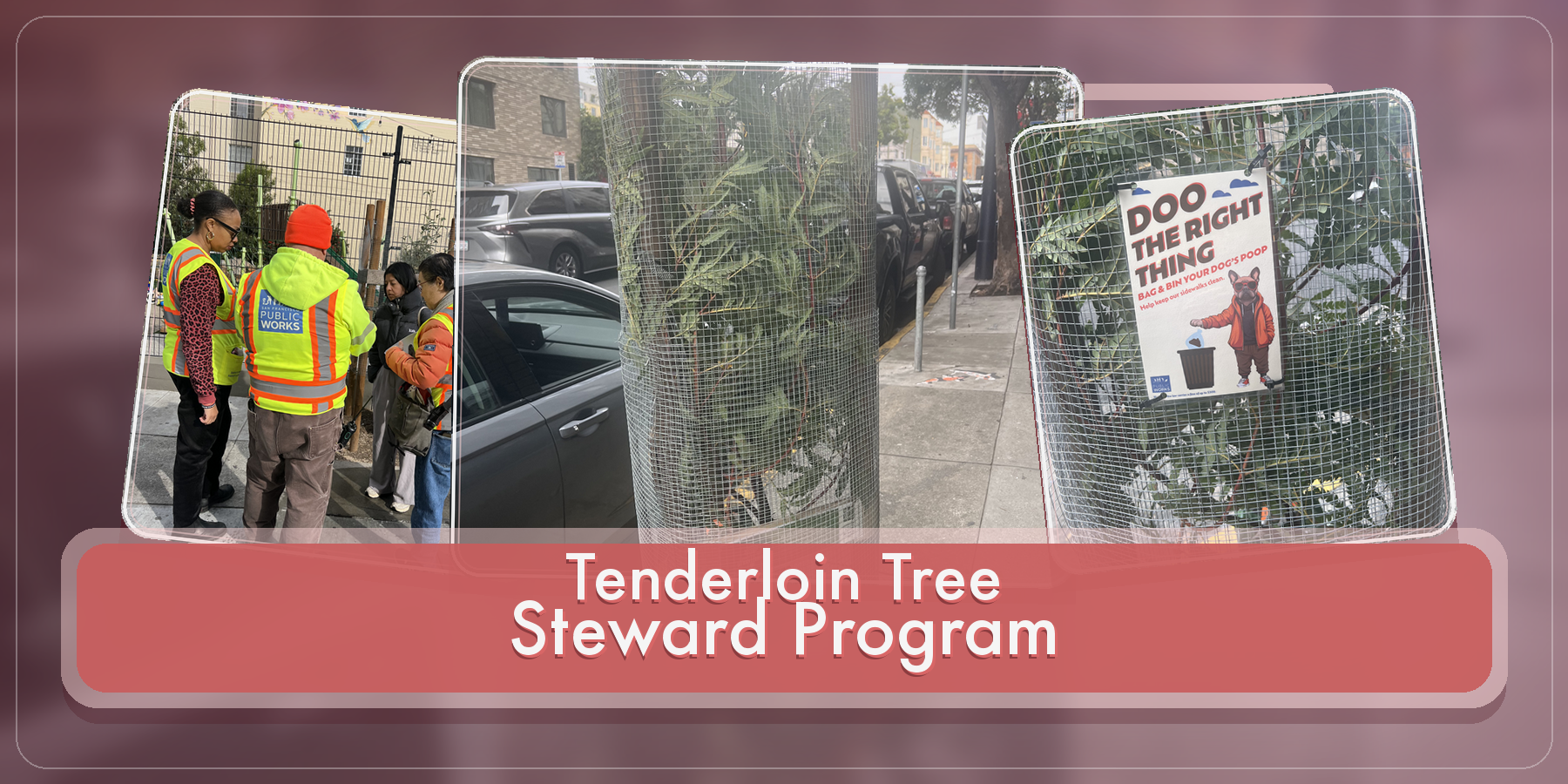 Tenderloin Tree Steward program banner